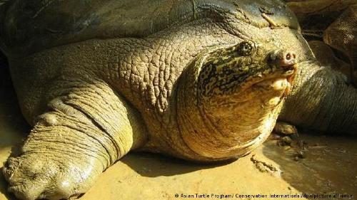 65595469_303 65595469_303