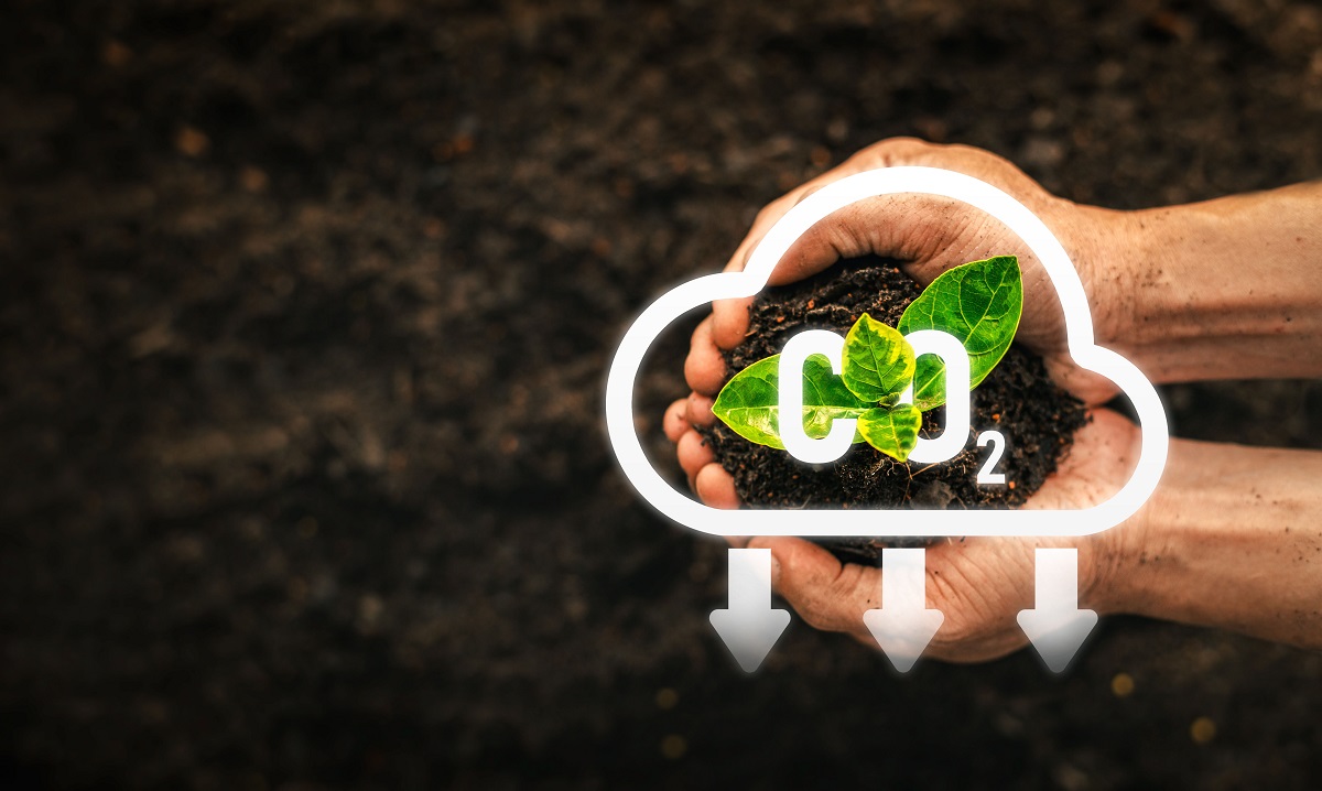 Huella ecológica Huella ecológica