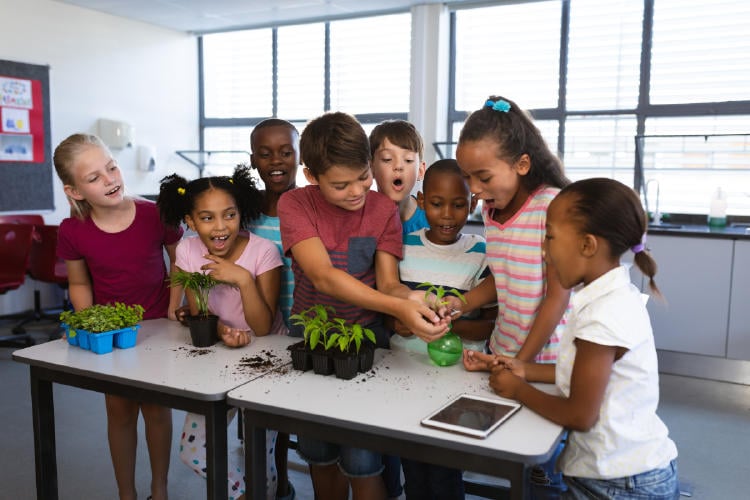 niños plantas escuela AdobeStock_438713880