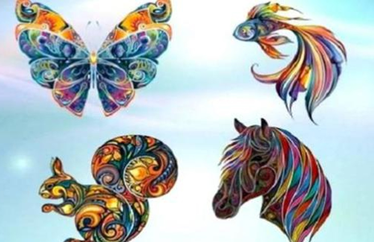 test-visual test-visual