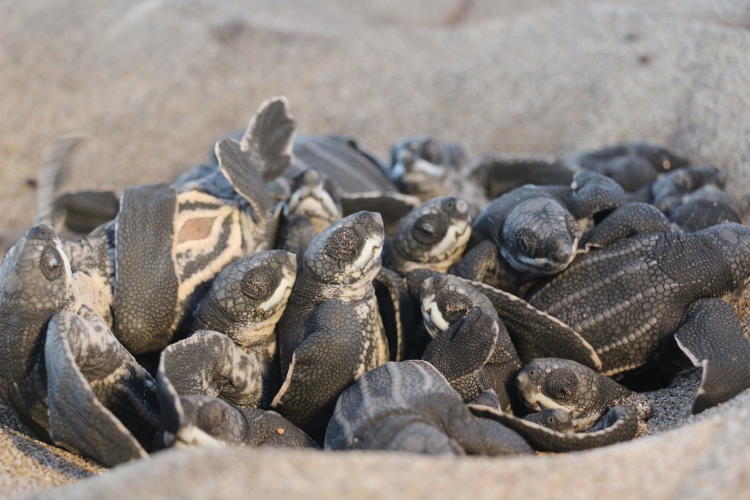 FOTO 1 Carlos Salas 1536x1024 FOTO 1 Carlos Salas 1536x1024