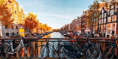 Portada 750x375 Portada 750x375