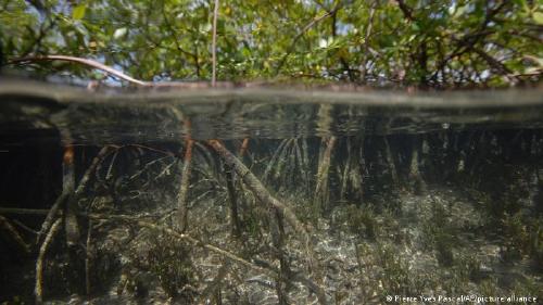 62280065_303 62280065_303