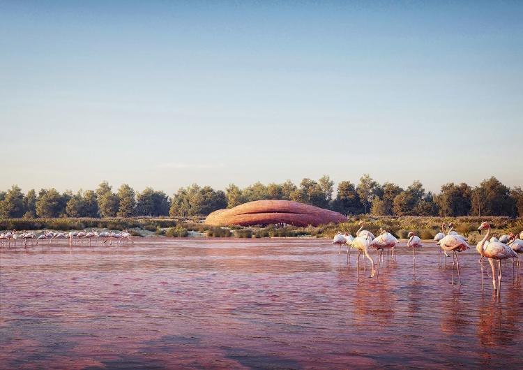 abu dhabi flamingo visitor center