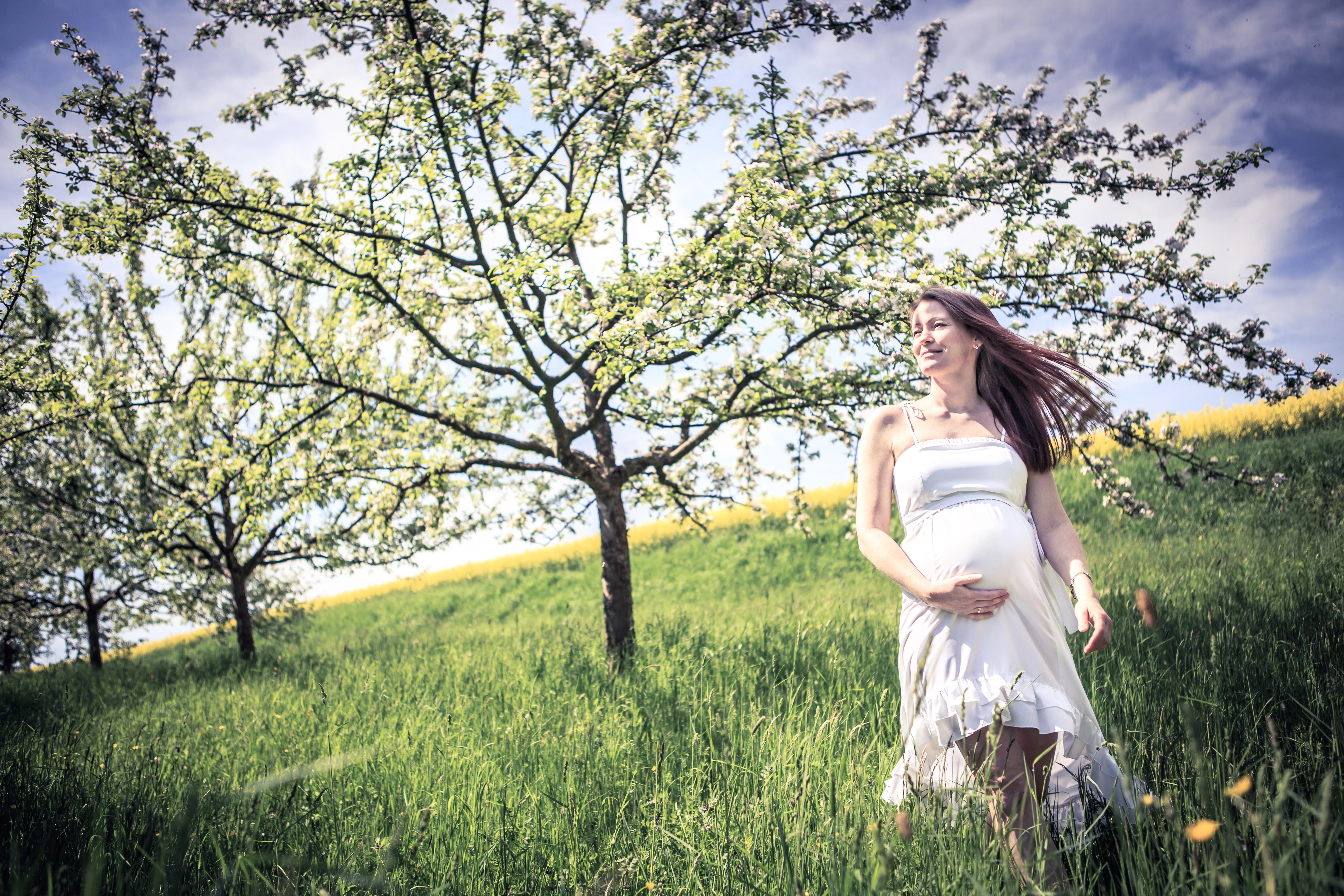 embarazada sentidos embarazada sentidos