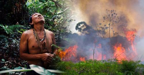 Incendios en el Amazonas: cómo sigue ardiendo el pulmón del planeta
