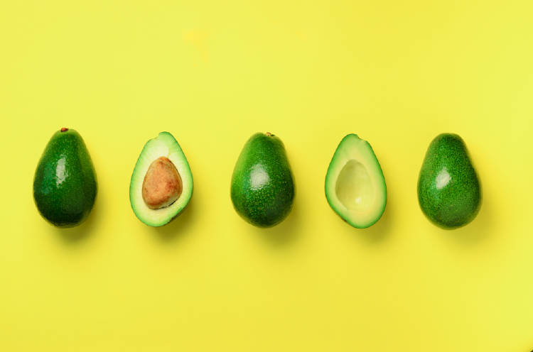 aguacate aguacate