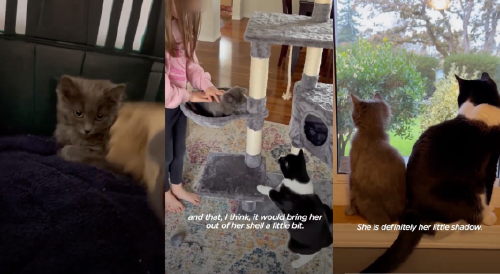 6576fbe70cbd1 6576fbe70cbd1