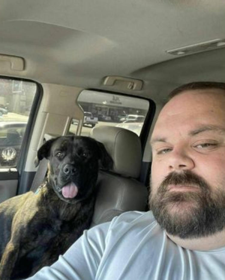 perro3 perro3
