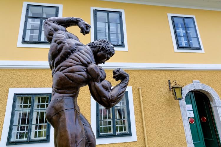 Arnold Schwarzenegger Arnold Schwarzenegger