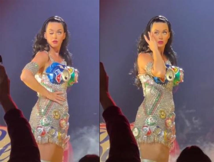 katy perry parpado