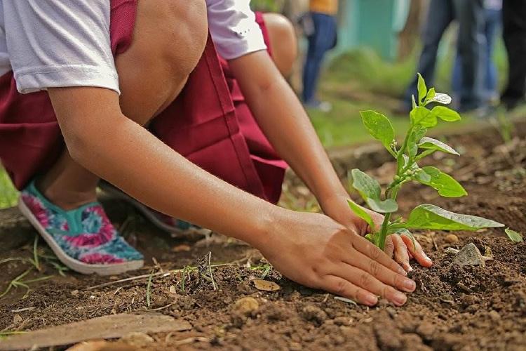 ¿Qué es la sustentabilidad y cuál es su significado?