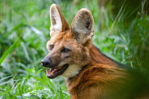 AdobeStock_407540536 AdobeStock_407540536