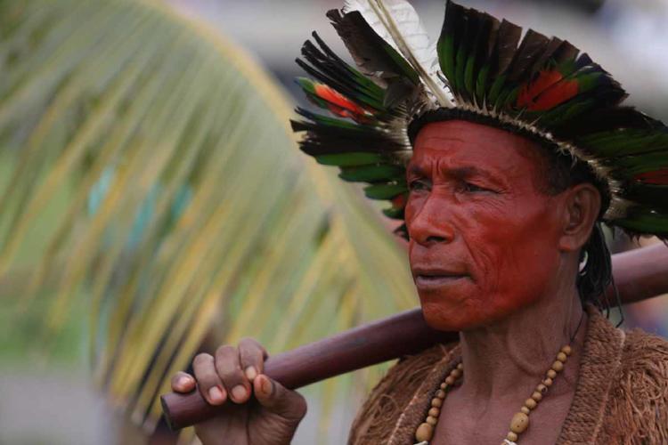 indigena brasil