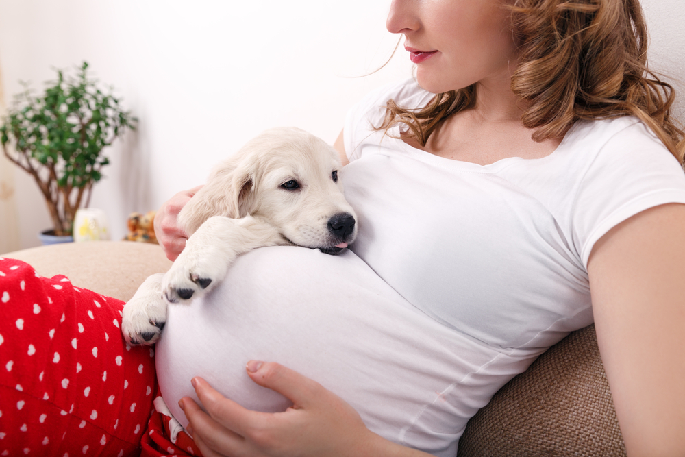 mujer embarazada perro