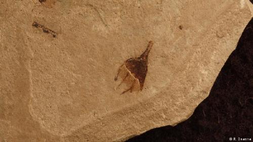 65495895_303 65495895_303