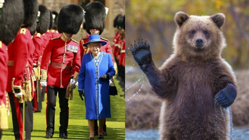 _portada bioguia (62) _portada bioguia (62)