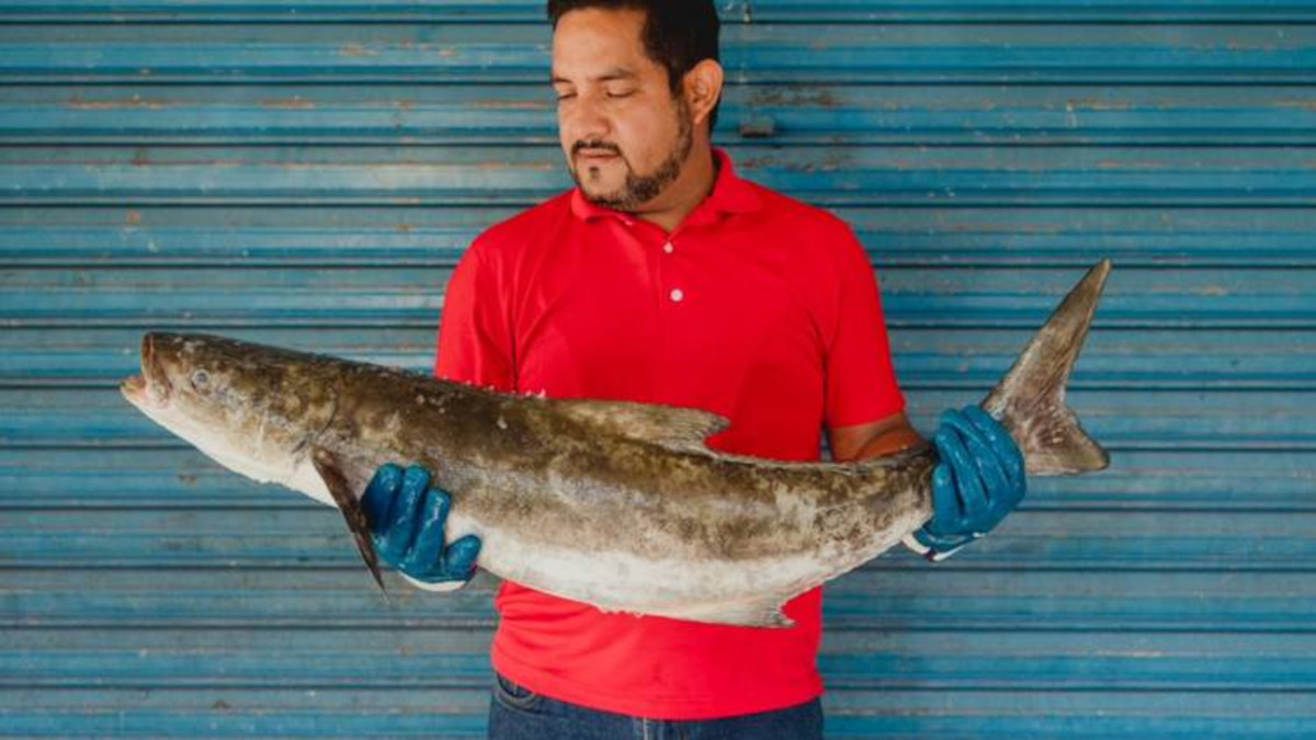 erik guerrero erik guerrero