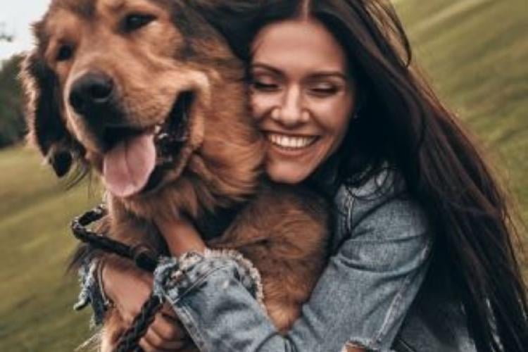 Diseño sin título 2024 10 30T114627.418 Algunos perros son entrenados para alertar a sus dueños cuando detectan cambios en su salud, como niveles de glucosa en la sangre. (Foto:Pinterest)