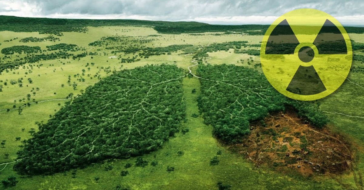 La mala calidad del aire La mala calidad del aire