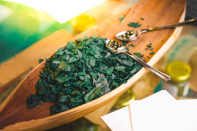 espirulina alga espirulina alga proteinas