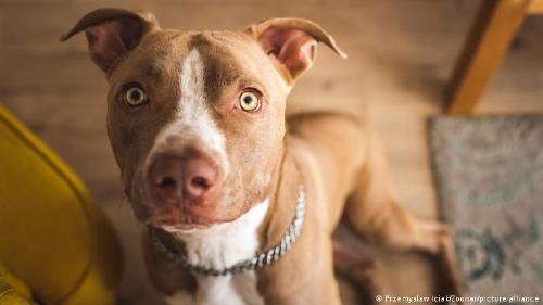 67785494_303 67785494_303