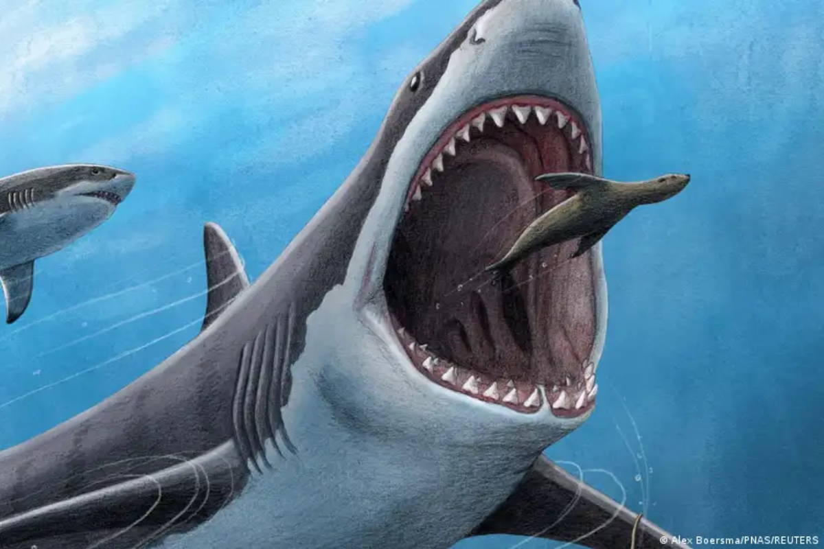 Collage portadas notas(21) Collage portadas notas(21)