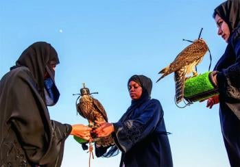 HALCONES CETRERIA HALCONES CETRERIA