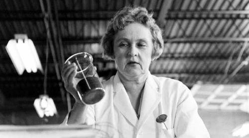 maria telkes maria telkes