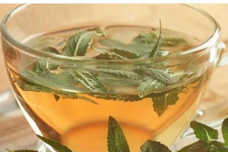 te salvia La salvia destaca por su combinación de propiedades antiinflamatorias, digestivas y reguladoras. (Imagen: Pinterest)