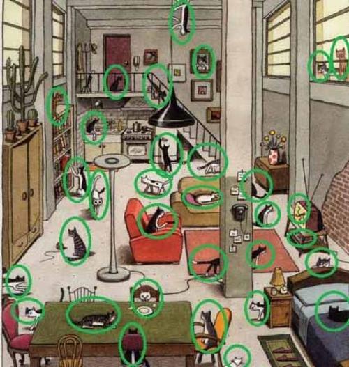 reto-viral-2 reto-viral-2