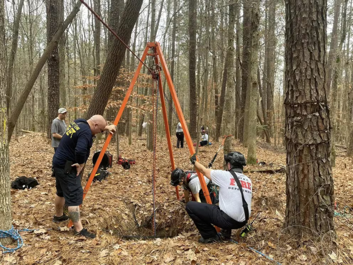 perro rescate2 perro rescate2