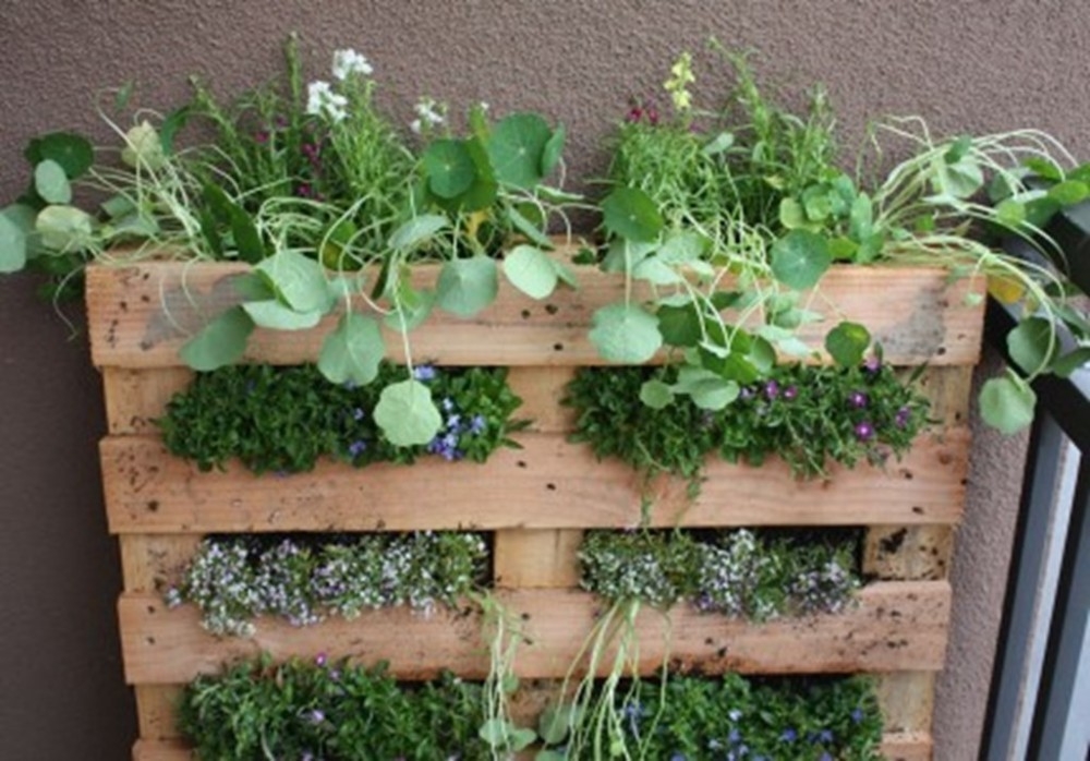Cómo hacer jardín vertical en palet paso a paso | Bioguia