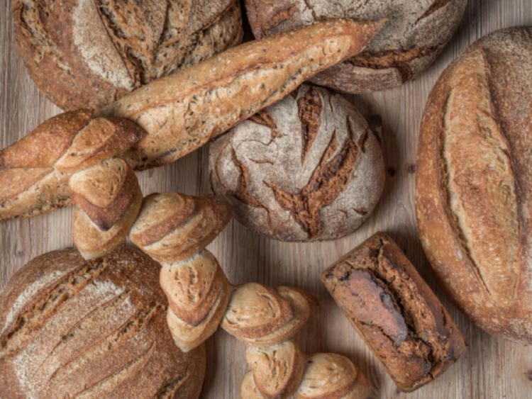 panadería beatriz echeverría3 panadería beatriz echeverría3