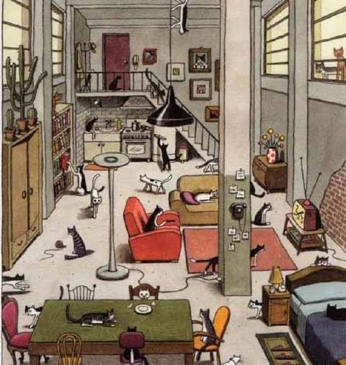 reto-viral reto-viral