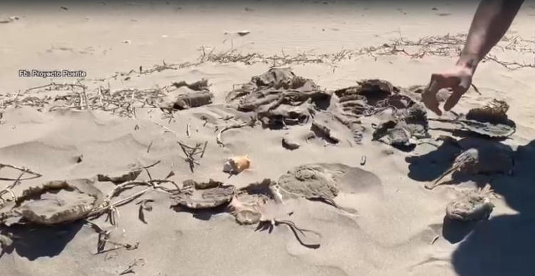 Rayas en arena 2 Rayas en arena 2