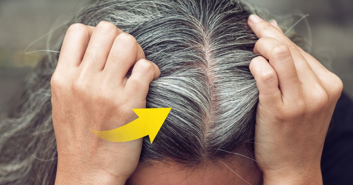 6 mitos y verdades sobre las canas 6 mitos y verdades sobre las canas