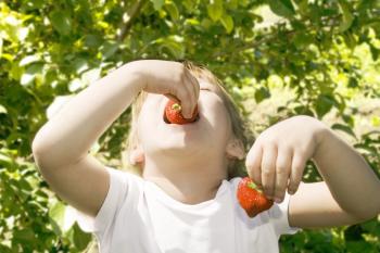 Frutas y humor Frutas y humor