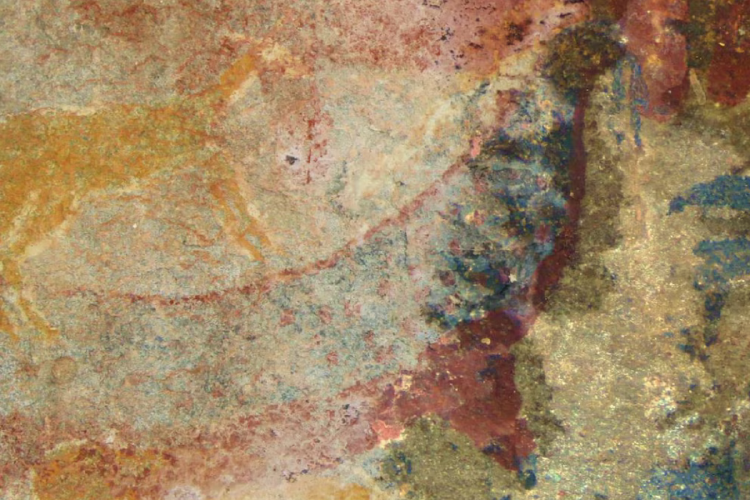 pintura rupestre El arte rupestre revela que los San identificaron y observaron restos fósiles antes que la ciencia occidental (U. Wits).