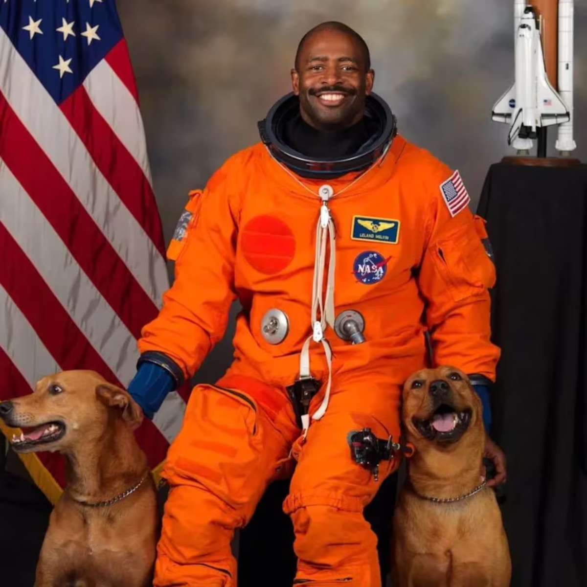 astronauta perros3 astronauta perros3