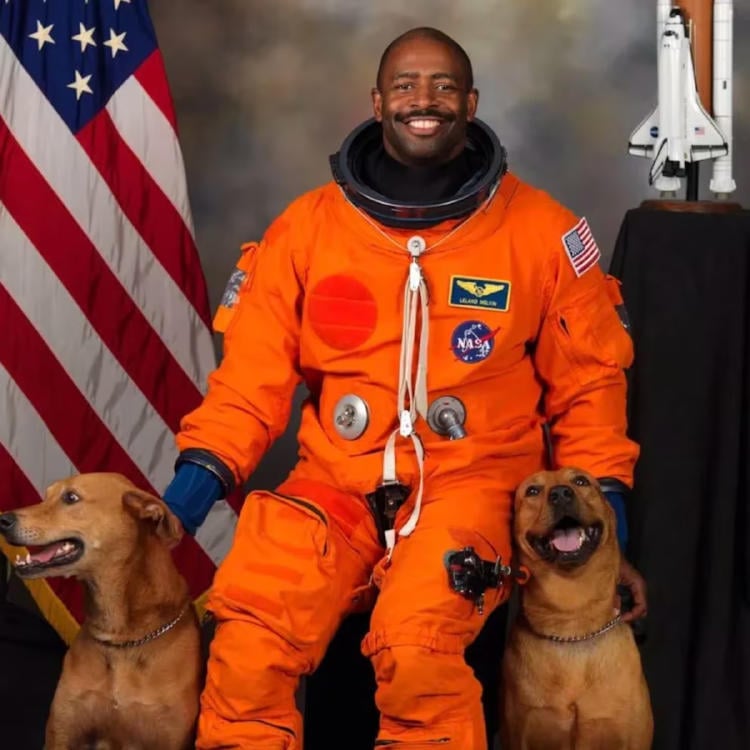 astronauta perros3