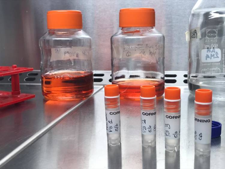 laboratorio tubos en un laboratorio