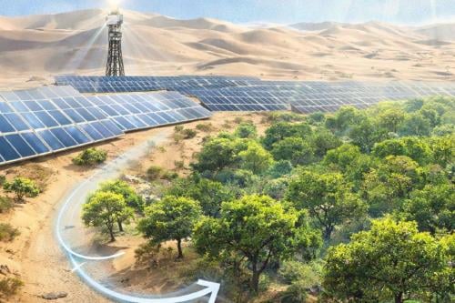 desierto en bosques Imagen: IA