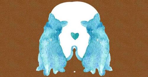 Test mental psicológico Test mental psicológico