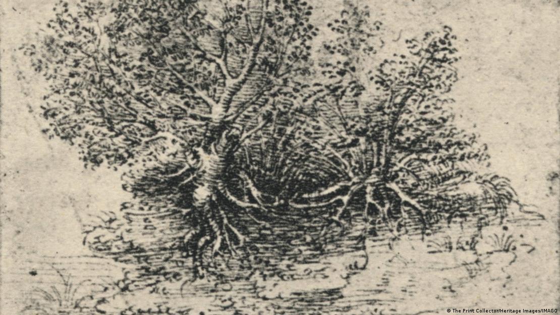 Arbol Da Vinci 3 Arbol Da Vinci 3