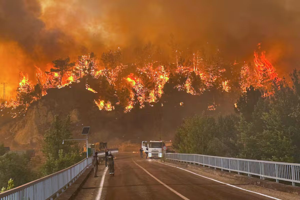 Incendios arrasan la costa de Turquía en el Mediterráneo; el Gobierno declara dos zonas de desastre Ridvan Bostanci   IHA 