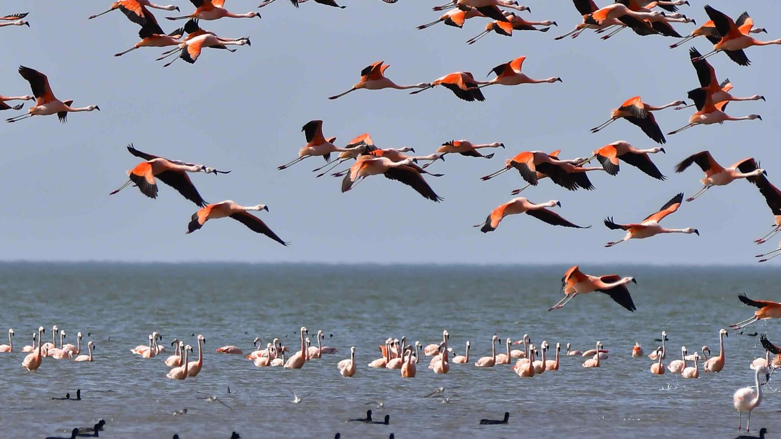 AUSTRALES 7 2400x890 AUSTRALES 7 2400x890