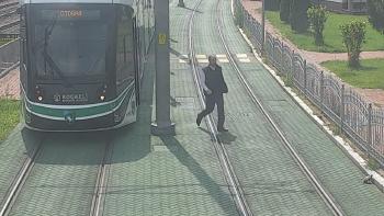 Conductor rescata tortuga