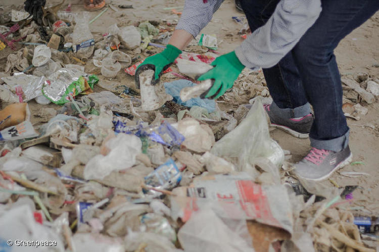 GP0STSBAA_Web_size_with_credit_line GP0STSBAA_Web_size_with_credit_line