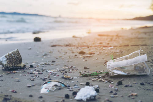 Costo ambiental: ¿qué es y cómo prevenirlo?